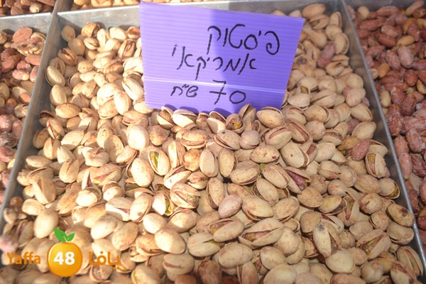 mokasaratshadyjamal (9).JPG